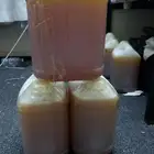 عسل سدر