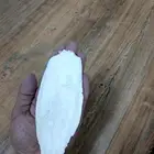 عظم الحبار بالحبه .وبالكيلو وبالكيس.