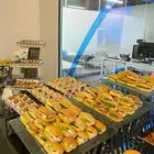 حفلات كفي بريك. سناكات. بوفيه مفتوح. خيم اوروبيه شاشات