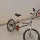 انباع