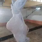 مفطحات ومناسبات