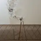 أستاند للمناسبات