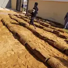 ثيل طبيعي سي الفين