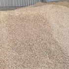 نشارة دواجن البيع كميات