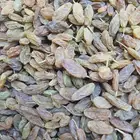 زبيب اسواد يمني عسل بن خولاني