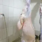 السلام عليكم كل عام وانت بخير ابو محمد الجزار