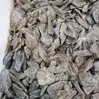 عود كلمنتان دبل سوبر درجه اولا توصيل لاي منطه السعر 2000ريال