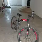 انباع