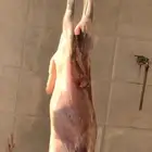 ذبيحتك الى باب بيتك