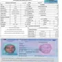 عدد9 C.V خدمات من الفلبين 