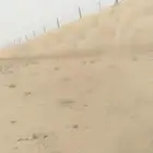 شبوك