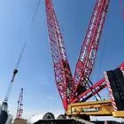 650 ton Crawler crane