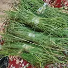 مرخ ممتاز وطازج يقطف ويقص يوميا