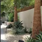 أعمال زراعة وصيانة للبيوت والمشاريع التجارية