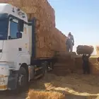 تبن قمح ناعم