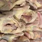غاليل حمام فرنسي جامبو