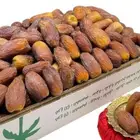 تمر لاشي مجدول خام نظيف بدون قشرة