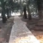 نعمل في مجال التراث القديم اشغال الطين وبنا الحجر