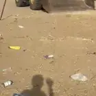 شيول 890c