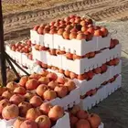 رمان متوفر كميات