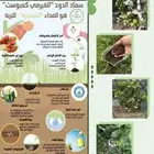 سماد الدود فيرمي كومبوست ( عروض اليوم الوطني )