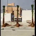 نخيل طيب انوع فاخره طيبه من القصيم نخلوطيب ومثمر