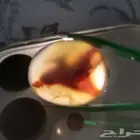 حجر عقيق معتمد مصور بصورة طبيعية لفارس وحصان