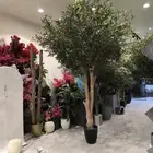 اشجار زيتون صناعي