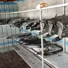 قطع غيار السيارات تويوتا كامري كورلا صدمات شمعات اصطبات
