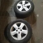 جنوط يارس للبيع