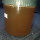 عسل الربيع كيلو موجود