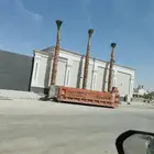 نخل واشنطن