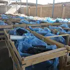 مكائن سيارات مستورد وشهد بلد