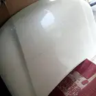 كبوت رفارف شنطه وكاله شد بلاد