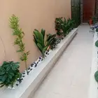 صيانة حدائق منزليه
