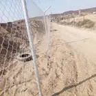 شبوك