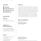 تصميم وكتابة سيرة ذاتية احترافية (CV)