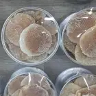 عسل من تهامة عسير