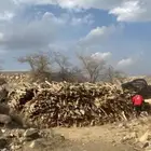 للبيع كوم خشب