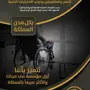 التجهيزات الفندقية للمكفوفين والصم