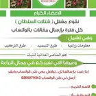 شتلات زراعية تبدأ 1.50 - 0566079543