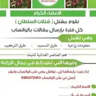 اقوى عروض الشتلات 0566079543