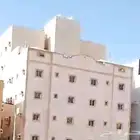 شقة للايجار حي النخيل