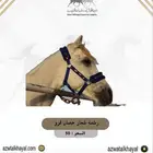 طقم سرج اصلي 100 يوجد اقساطط