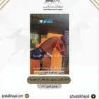 سرج سعر تصفية عندنا اقساط