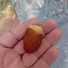 تمور فاخره جميع اانواع