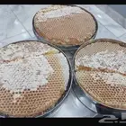 عسل سدر دوعني فاخر وعسل السمره