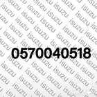 سطحه داخل المدينه