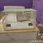 قفص طيور حجم كبير