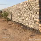 معلم حجر